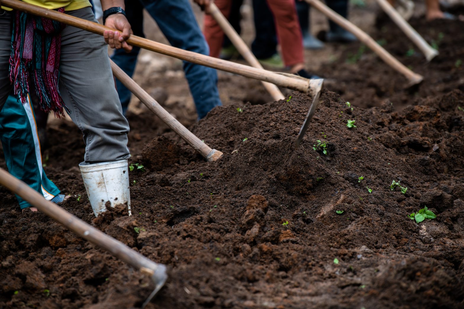 Close-up of a group of people helping to dig the soil with a hoe