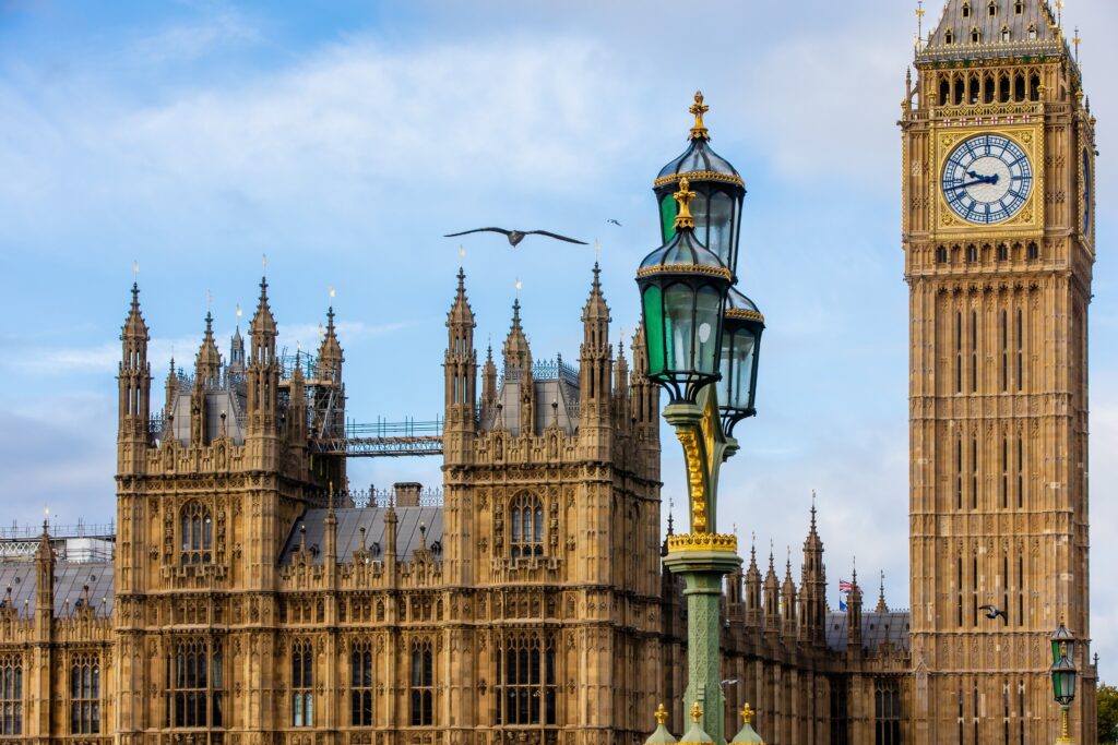 Bird flying in front of the Palace of Westminster and the Big Ben in London, England on a clear sunny day